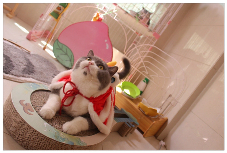 Pet Wake -up Lion Cape Cat Clothing Clothes Cape Lion Dance Shawl