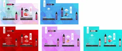 2021 Disposable Tobacco Smoking Sticks Electronic Vape Fruit Flavor Vape