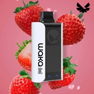 Waka 2023 New Disposable Waka Sopro PA10000 Puffs OEM&ODM Original Supplier of Electronic Cigarette Vape
