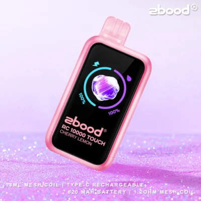 Custom Logo and Packaging Rab Zbood Battery Magnetic Beats Future Bar Imini Slim Unik Lion E Cigarettes RC10000 Puff Smart Touch Dispsoable Vape