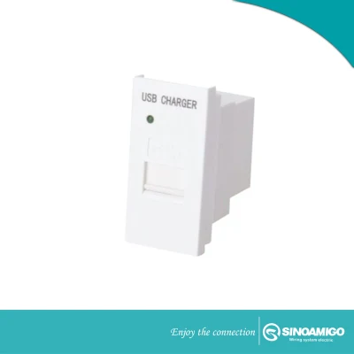 Dual Port USB Charger with Type C Port 2.1A