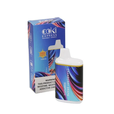 Made in China Shenzhen Wholesale E Cigarette Vuse Popular Sale in USA UK Australia Poland Russia Japan Korea Malaysia Vietnam Philippines Indonesia