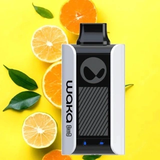 Waka 2023 New Disposable Waka Sopro PA10000 Puffs OEM&ODM Original Supplier of Electronic Cigarette Vape