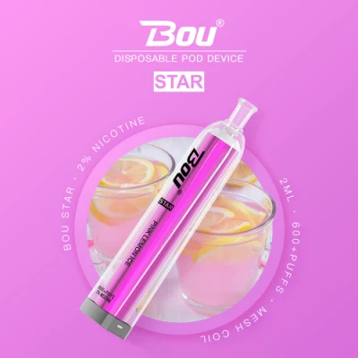600 Puffs Tpd Grape Blueberry Mango Peach Pineapple Apple Banana Strawberry Raspberry Watermelon Passion Mint Ice Disposable Vape E-Cigarette E-Cig