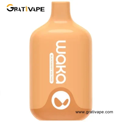 12 Flavors Juice Head Bars Electric Cigarette Disposable Vape Waka 6000 Puffs