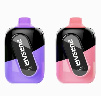 Screen Smart Pod Wholesale Disposable Vape Squid Brand