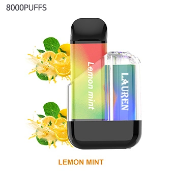 Detachable Rechargeable Wape Pod Mod Wholesale Pen Mini Vape