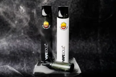 Vapesoul 600 800 Puffs Pod System Mod Kit Rechargeable Hookah Pen Mesh Coil Wholesale E Cigarette