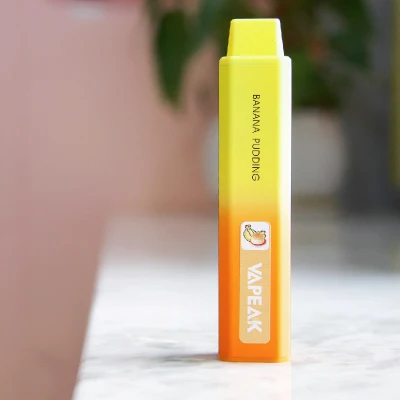 Popular Disposable Pods Puff Bar Vape 5000puffs Mint Flavor OEM Service Manufacturer