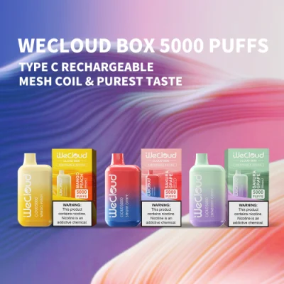 Us Best Selling 5000 Puffs Disposable Box Vape No Nicotine No Tobacco