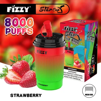 Shenzhen Fizzy Hot Sale E-Cigarette Factory High Quality 8000 Puffs Plus Mint Flavor Disposable Vape Pen