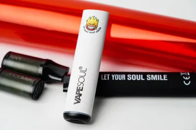 Vapesoul 600 800 Puffs Pod System Mod Kit Rechargeable Hookah Pen Mesh Coil Wholesale E Cigarette