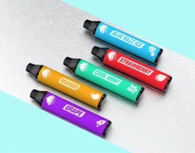 Newest Slim E-Liquid Vape Disposable Rechargeable by Type-C 5 Different Fruit Flavors New Model Vape