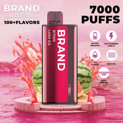 2023 Hidi OEM ODM Private Brand White Label Rechargeable 24 Flavors 7000 Puff Ceramic Mesh Core Display Screen Disposable Vape &nbsp;Loon Max