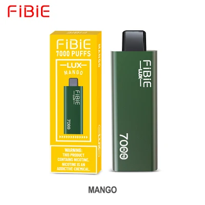 Fibie Lux Wholesales Price Rechargeable Disposable Vape 7000 Puff 7K Puffs Mesh Coil 10ml Vaporizer Pod Strawberry Kiwi Flavour