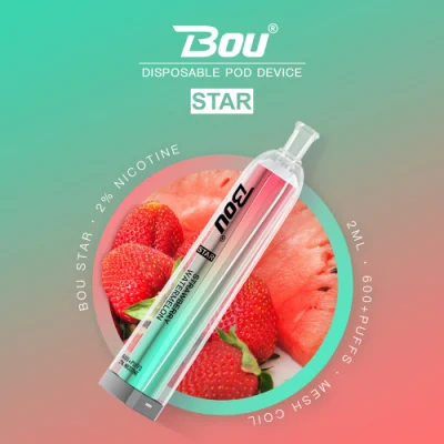 600 Puffs Tpd Grape Blueberry Mango Peach Pineapple Apple Banana Strawberry Raspberry Watermelon Passion Mint Ice Disposable Vape E-Cigarette E-Cig