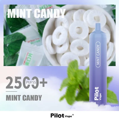Good Taste Ecig Disposable Vape Pen Pilot Max Vape