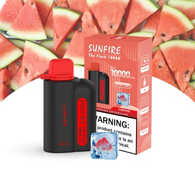 Best Sell Spain De France Alibaba Distributors Vape 10000 Puff Disposable Vape to 10000 8000 9000 12000 Puff Puffs Dtl Large Smok Hookah Mask Lost EL