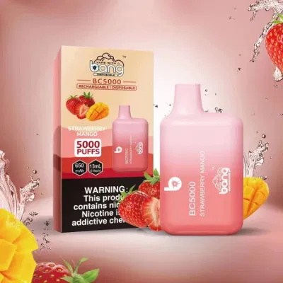 China Wholesale Custom Vaporizer Disposable Vaper Pen Amazon Bang Best Bc 5000 Puff Rechargeable E Cigarette Nicotine Free Shipping Cheap Wape Juice Vape