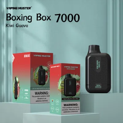 Vaping Muster Hot Product Type C Charging 7000puffs Electronic Cigarette Wholesale Rechargeable Disposable Vape