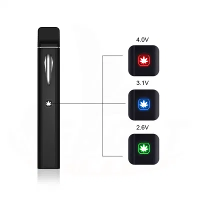 Wholesale Torches Preheat Empty 2ml Hhc Thick Oil Disposable Vape Pen Cookie 2g/2gram Oil Disposable Pod Vapes with USB-C
