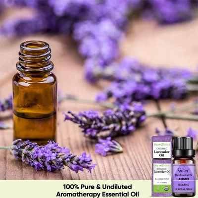 Customized Whole Body Lavender Essential Perfume Plant Extract Glass Bottle Hemp Oil Extraction