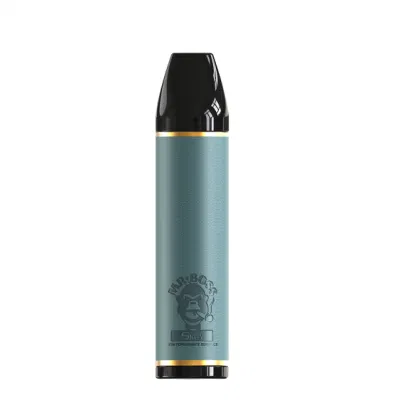 New Style Wholesale Pod Pen Disposable Electronic Cigarette Vape 5000 Puffs 600mAh
