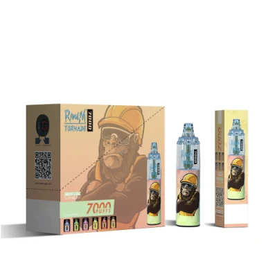 Vape Factory Disposables Vapes Randm Tornado 7000 2% 5% Salt Nicotine Imini Puff 7000 Vapes Puff 7K