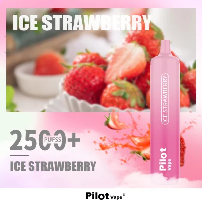 Good Taste Ecig Disposable Vape Pen Pilot Max Vape
