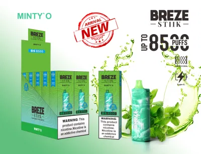 Wholesale Disposable I Vape Breze Stiik BS8500 Hotbox Vape