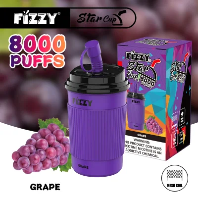 Shenzhen Fizzy Hot Sale E-Cigarette Factory High Quality 8000 Puffs Plus Mint Flavor Disposable Vape Pen