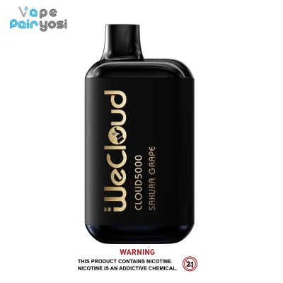 Us Best Selling 5000 Puffs Disposable Box Vape No Nicotine No Tobacco