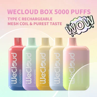 Us Best Selling 5000 Puffs Disposable Box Vape No Nicotine No Tobacco
