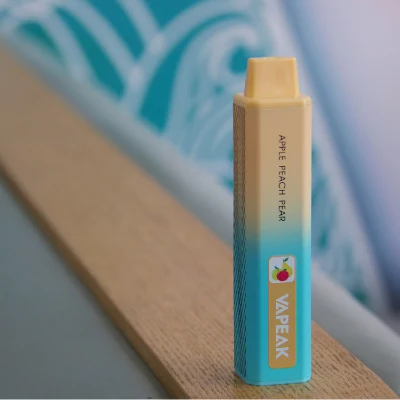 Popular Disposable Pods Puff Bar Vape 5000puffs Mint Flavor OEM Service Manufacturer