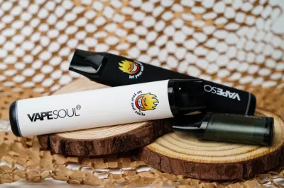 Vapesoul 600 800 Puffs Pod System Mod Kit Rechargeable Hookah Pen Mesh Coil Wholesale E Cigarette