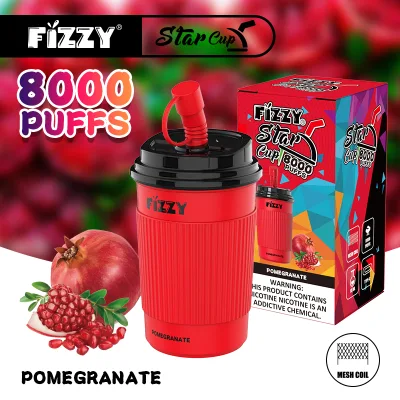 Shenzhen Fizzy Hot Sale E-Cigarette Factory High Quality 8000 Puffs Plus Mint Flavor Disposable Vape Pen
