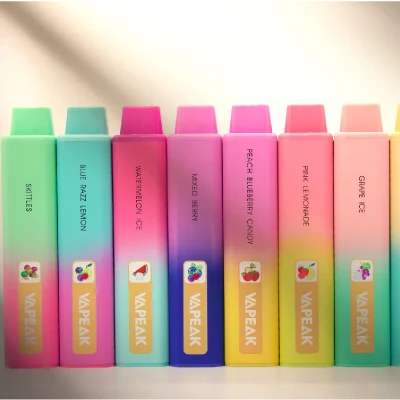 Popular Disposable Pods Puff Bar Vape 5000puffs Mint Flavor OEM Service Manufacturer