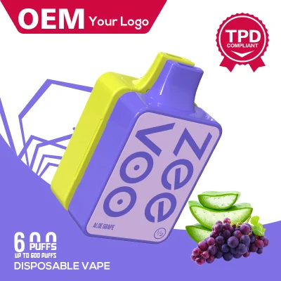 China Factory OEM 600puffs Disposable Pod Cigarette Vape Kit with Tpd&Ufi