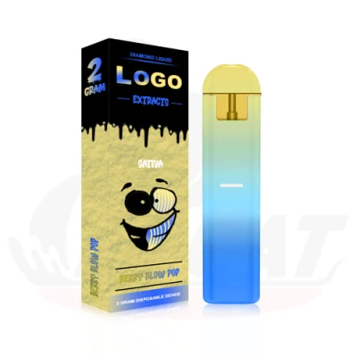 0.5ml 1ml Disposable Vape Pen 0.5ml 1ml Vaporizer Pod 1g 0.5g Atomizer Tank Empty Juice Empty Vape Rechargeable Electronic Cigarette Vapes for Hhc Thick Oil