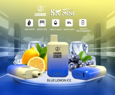 5000 Puffs Disposable Vape Pod Kit with 10 Customized Flavours for Options