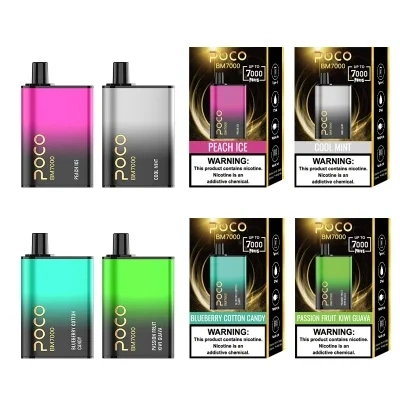 USA/EU Warehouse Randm 7K Puff Bar Poco Bm7000puffs Disposable Vape Type-C Airflow Wholesale Vape Pen Mesh Coil 17ml Juice with 10 Flavors