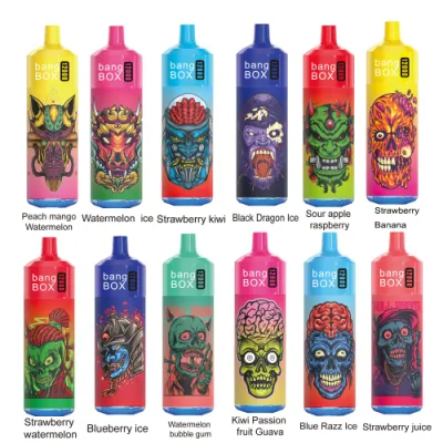 Wholesale Bang Box 12000 Puffs E Cigarette Disposable Vape Rechargeable Mesh Coil