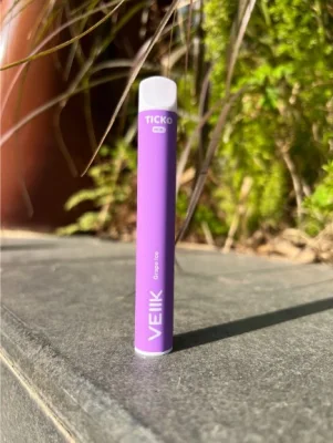 China Reliable Factory Low MOQ Spain Nicotine Free Salt 600puffs Disposable Vape.