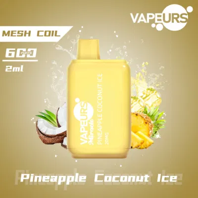 Vapeurs Miracle Mini Square Disposable Vape 600 Puffs 2ml Customized Own Brand