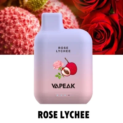 Original Manufacturer Custom Tobacco Fruit Taste Disposable Electronic Cigarette Vapeak Grand 5000 Puffs Mesh Coilbattery Indicator Wholesale I Vape