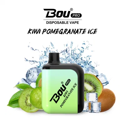 Wholesale Bou Vape E-Cigarette Rechargeable 7000 Puffs Disposable Vape