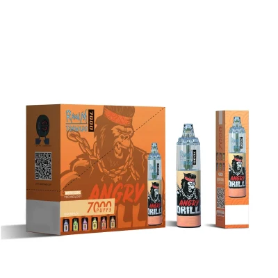 Amazing Taste High Quality Mod Pod R and M Randm Tornado 7000 Puffs Vape Popular in EU