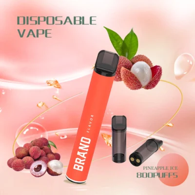 Newest Factory 800puffs 2ml Wholesale Electronic Cigarettes Disposable Vape