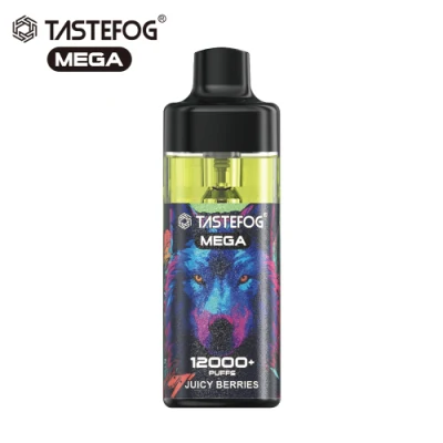 Newest Tastefog Mega 12K+Puff Clean Tank E-Cig RGB Flashlight Wholesale Disposable Vape Pen