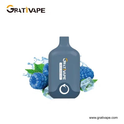 Mesh Coil Premium Flavor Juice Head Bars Disposable Vape Electric Cigarette 6000 Puff Vape